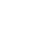 SecureG Sicherheits- und Datenschutzvorteile Icon